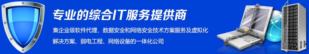 專業(yè)的綜合IT服務(wù)提供商
